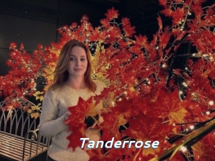 tanderrose Camgirls Live