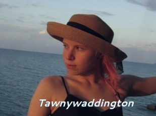 Tawnywaddington