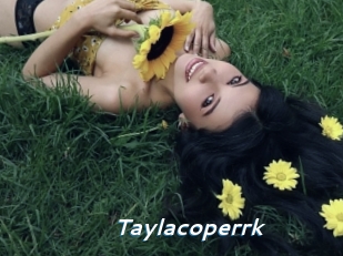 taylacoperrk Camgirls Live