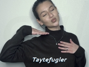 Taytefugler