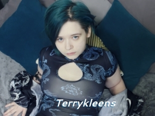 Terrykleens