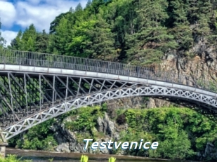 testvenice Camgirls Live
