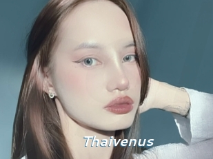 Thaivenus