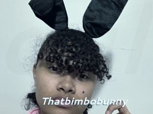 Thatbimbobunny