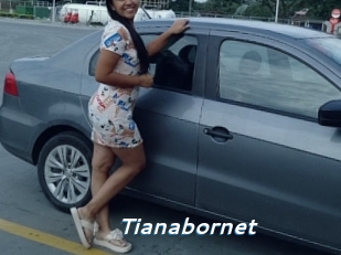 Tianabornet