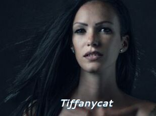 Tiffanycat