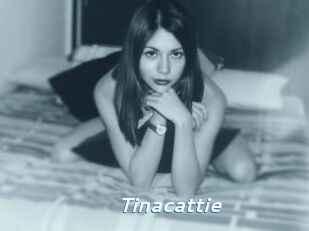 tinacattie Camgirls Live