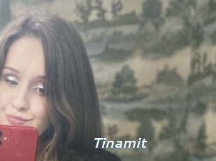 Tinamit