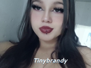 Tinybrandy