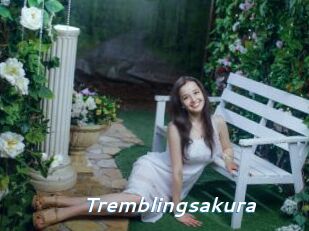 Tremblingsakura