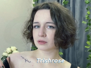 Trishrose