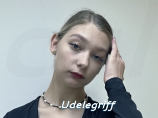 Udelegriff