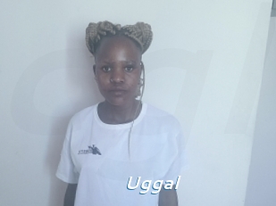 Uggal