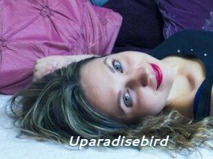 Uparadisebird