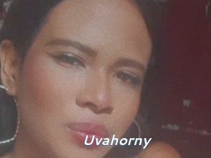 Uvahorny