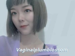 Vaginalplumblossom