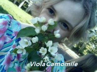 ViolaCamomile