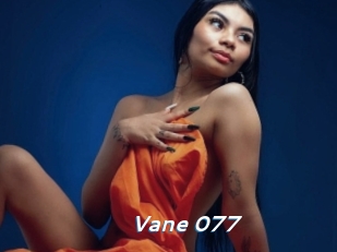 Vane_077