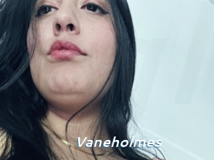 Vaneholmes
