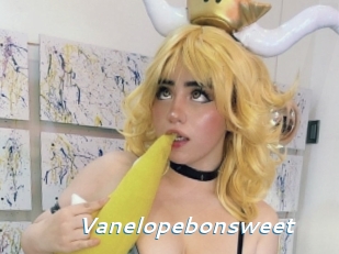 Vanelopebonsweet