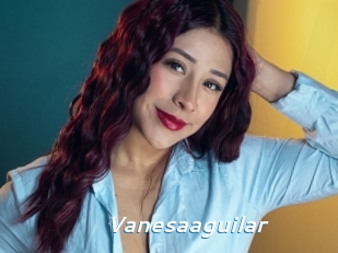 Vanesaaguilar