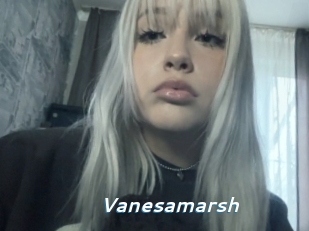 Vanesamarsh