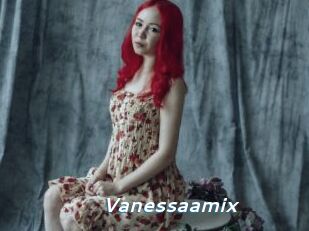 Vanessaamix