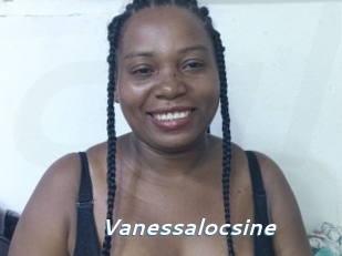 Vanessalocsine