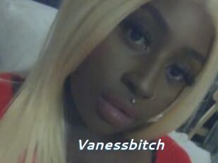vanessbitch Camgirls Live