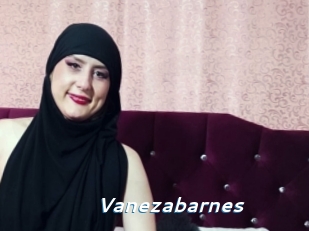 Vanezabarnes