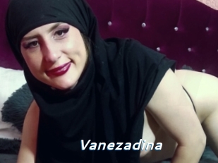 Vanezadina