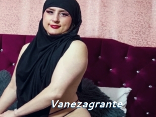 Vanezagrante