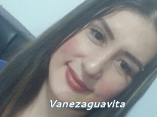 Vanezaguavita