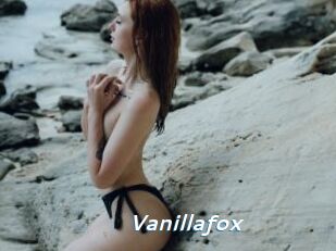Vanillafox
