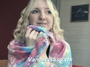 Vannessaspark