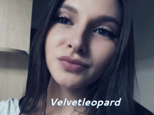 Velvetleopard
