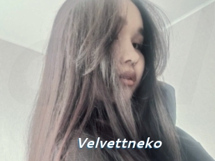 Velvettneko