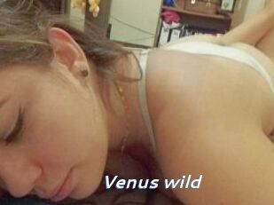 Venus_wild