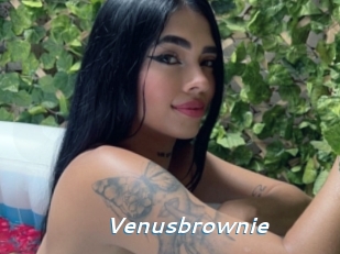 Venusbrownie