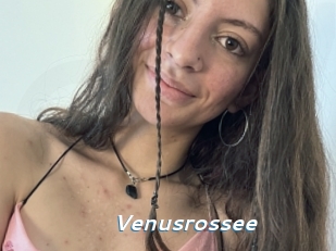 Venusrossee