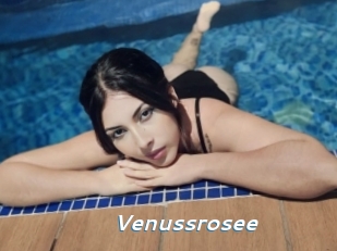 Venussrosee