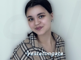 Vestatongate