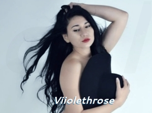Viiolethrose