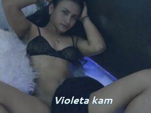 Violeta_kam