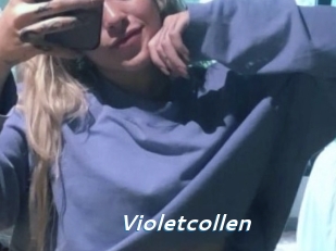 Violetcollen