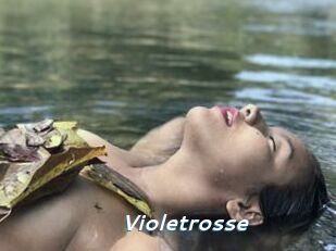 Violetrosse