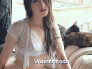 Violett_rose