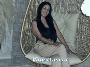 Violettascot