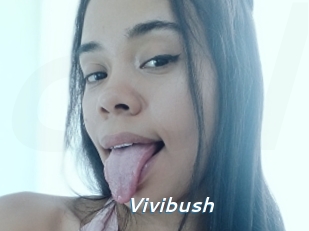 Vivibush