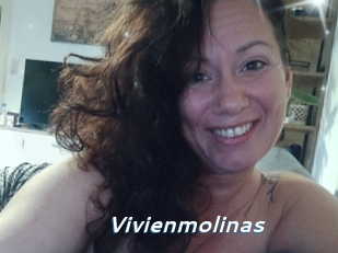 Vivienmolinas